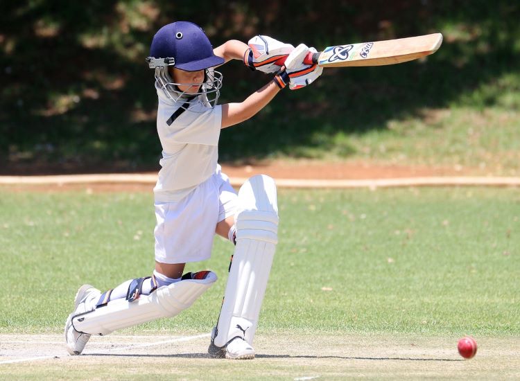 Castle Test Cricket South Africa Dominant