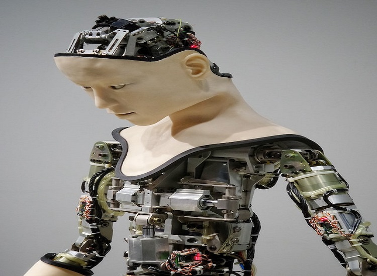 The Name of the Best Forex Trading Robot is Not Something I Think I Will Overlook.